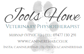 JH Canine Physiotherapy & Rehabilitation is using Culverdocs for Patient Assessments & Registrations